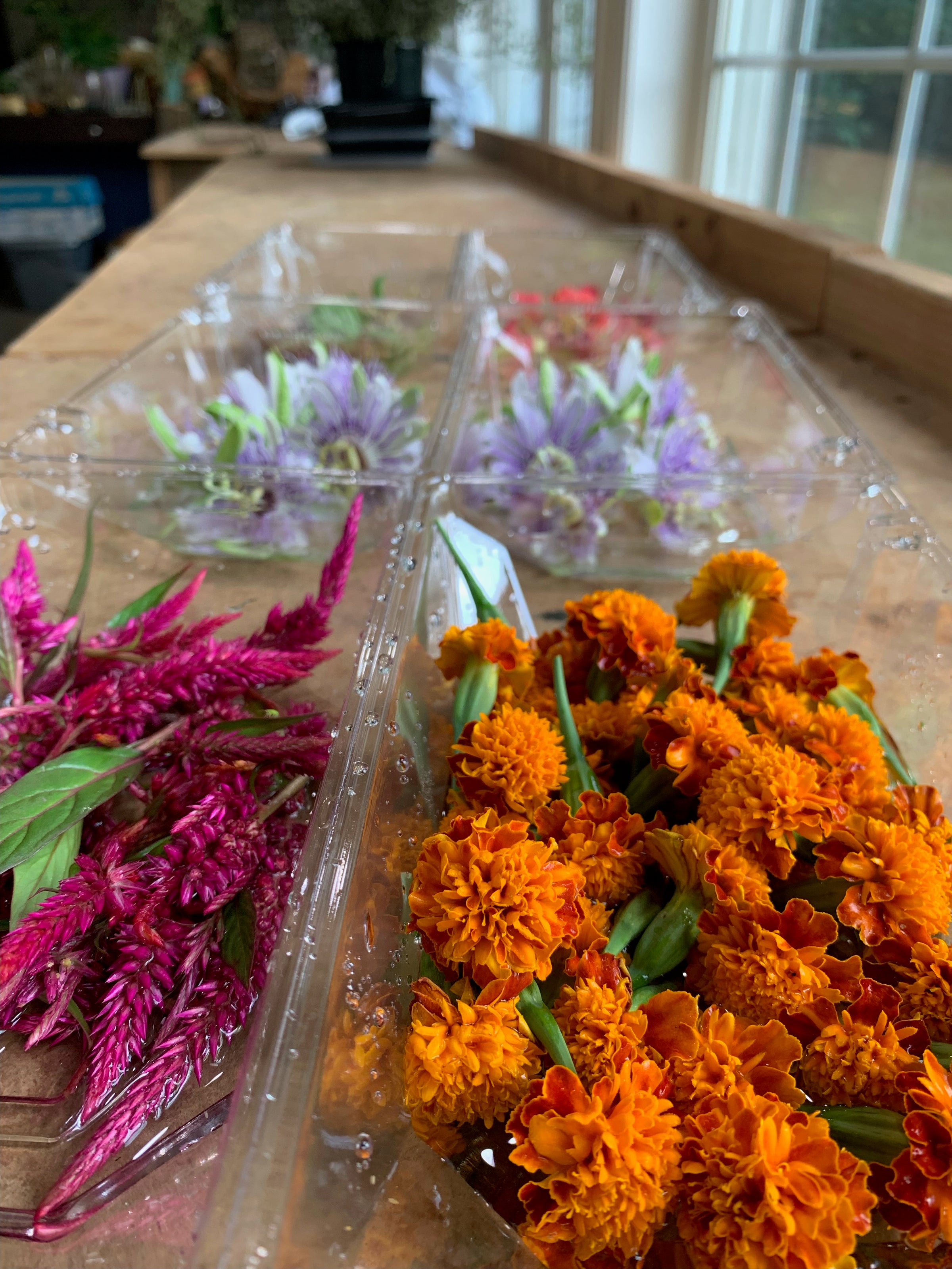 Edible Flowers Large Box