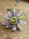 Edible Flowers Large Box