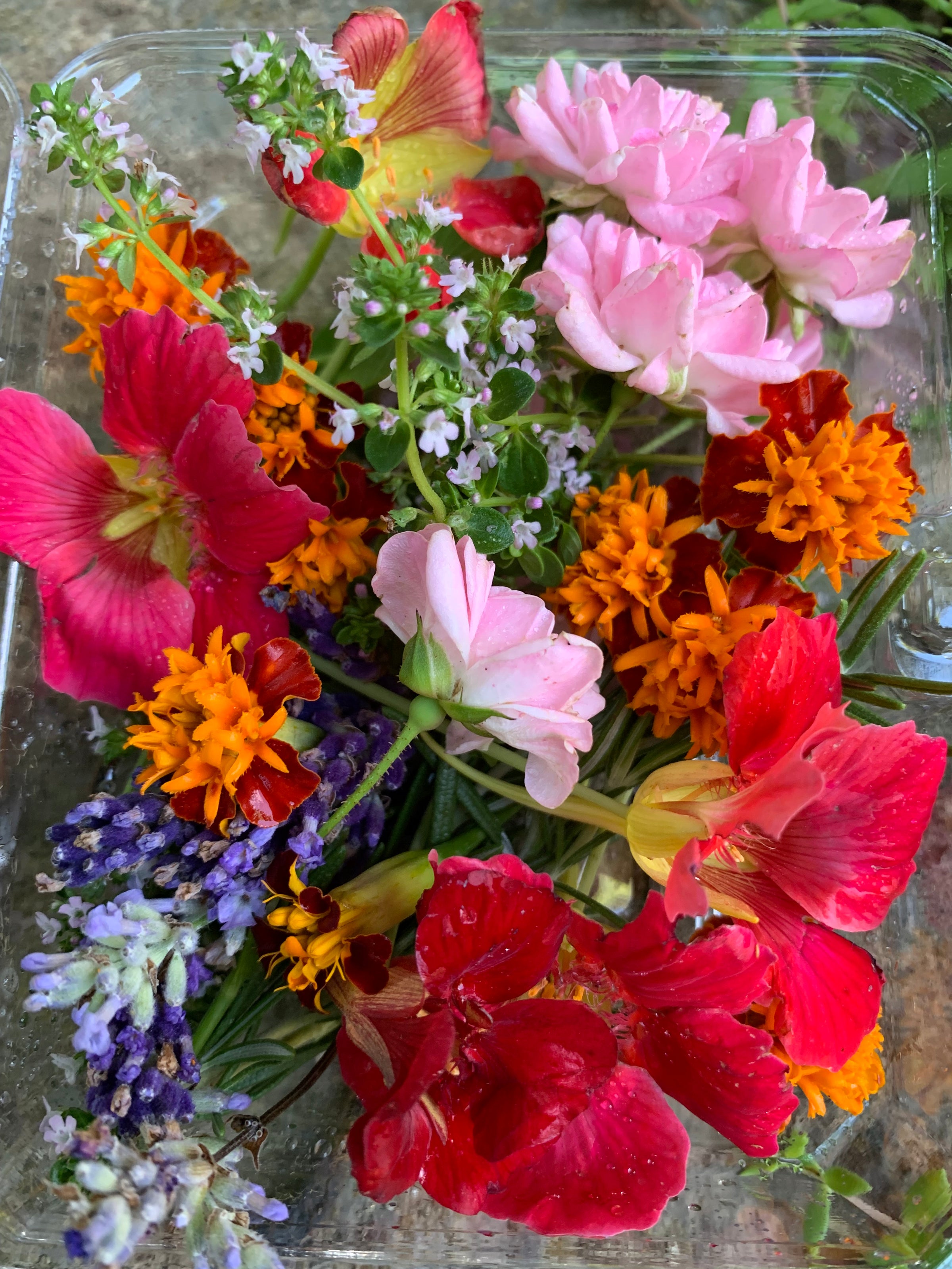 Edible Flowers Small Box