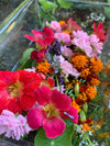 Edible Flowers Large Box