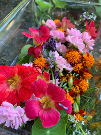 Edible Flowers Large Box