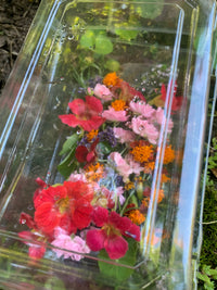 Edible Flowers Large Box